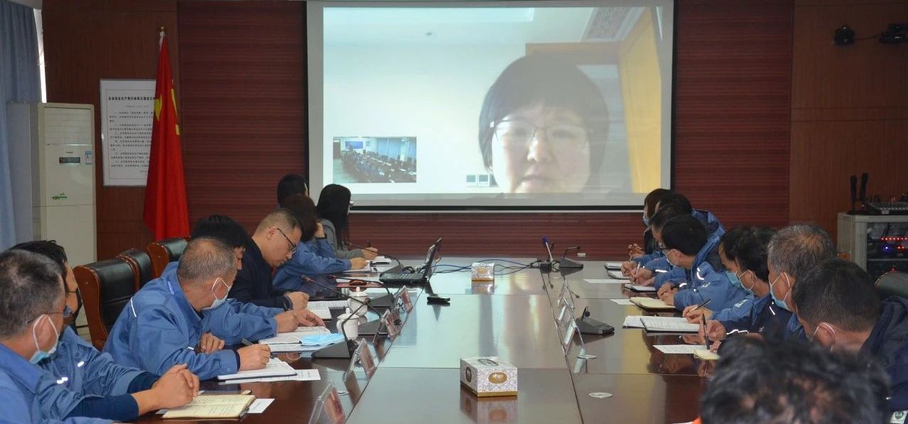 bob手机网页版登录入口(官方网站)APP下载